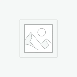 Everyday Laptop Backpack